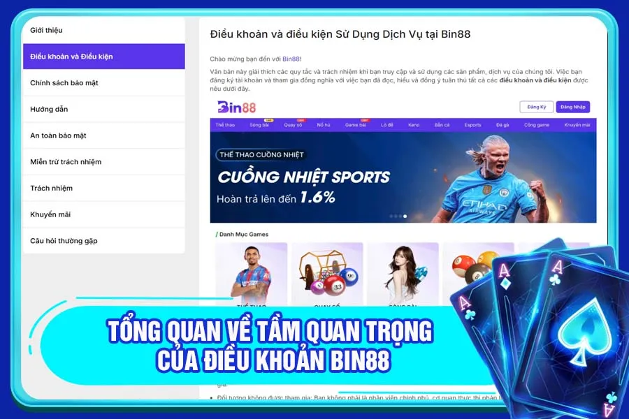 Tổng quan về tầm quan trọng của điều khoản Bin88